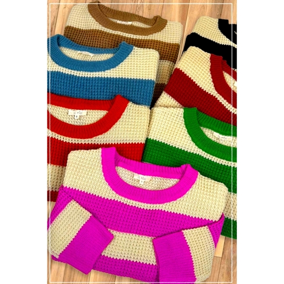 Pumpkin - Picture 4 of 5